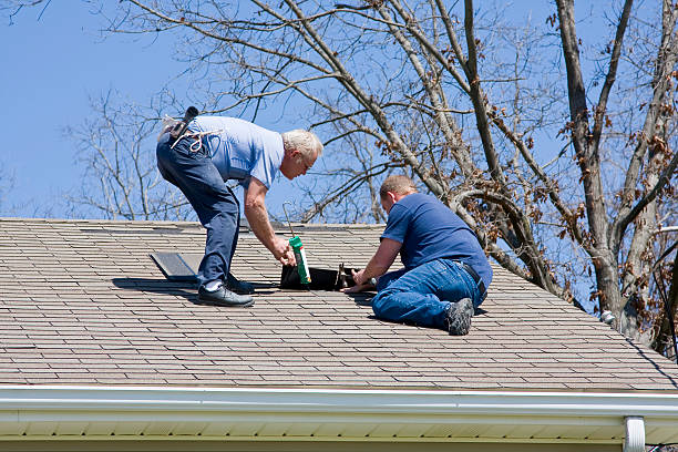 storm damage repair contractors