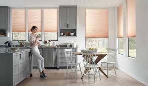 electric shades for windows