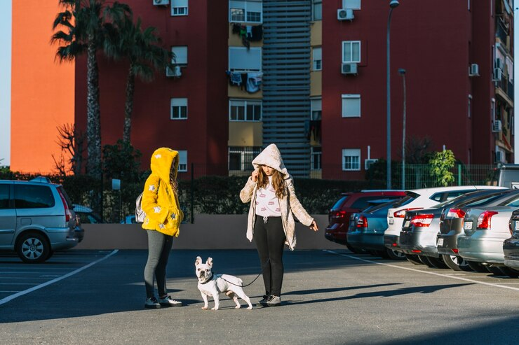 dog walker new orleans