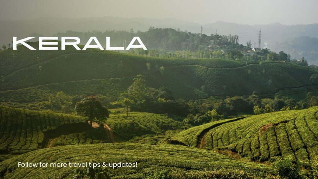 kerala tour packages for couple
