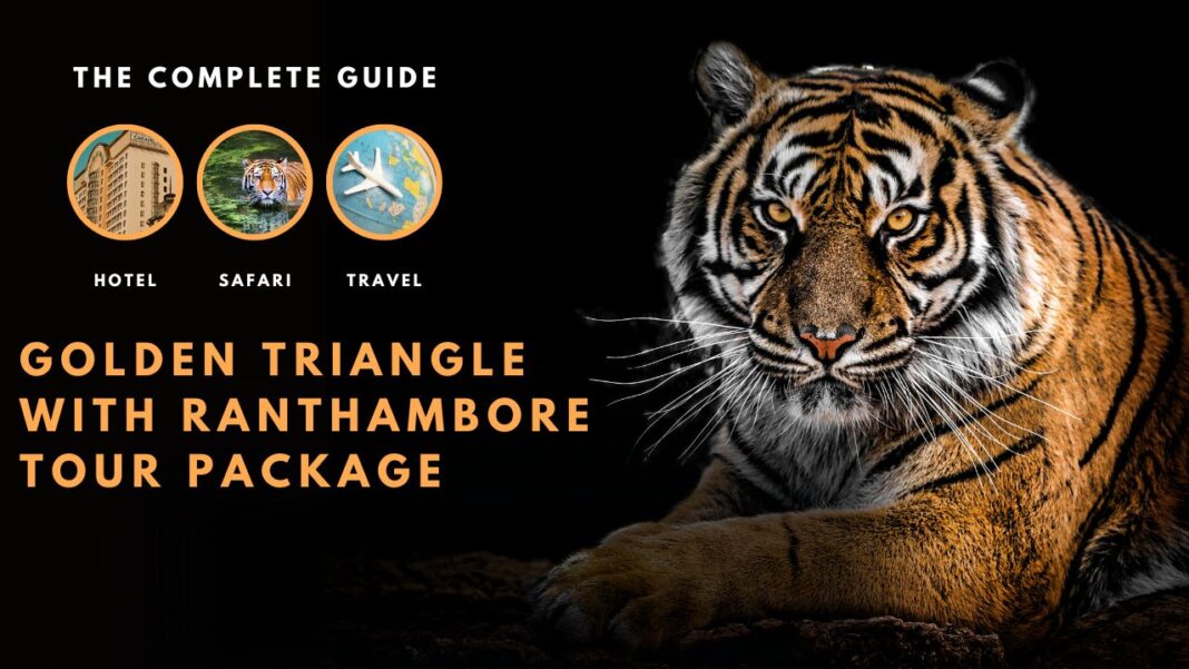 Experience thrilling jungle safaris, spot majestic tigers, and explore nature with top Ranthambore travel packages for wildlife lovers.